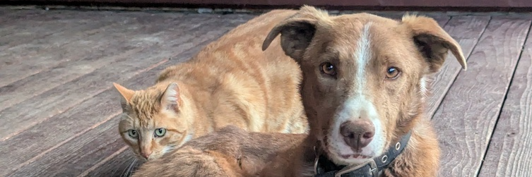Lemhi County Humane Society