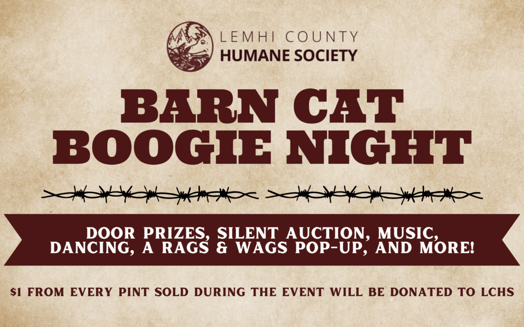 Big Fall News: A New Executive Director, Barn Cat Boogie, & More!