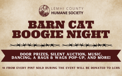 Big Fall News: A New Executive Director, Barn Cat Boogie, & More!