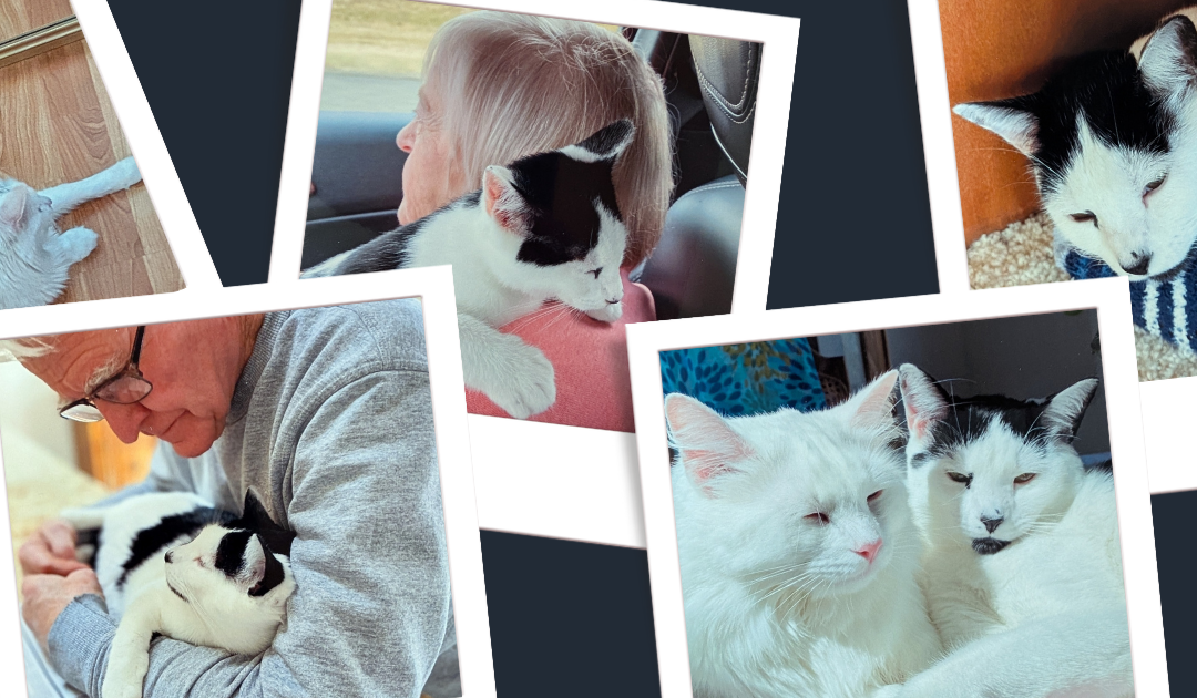 Better Together: Rosie and Bo’s Story
