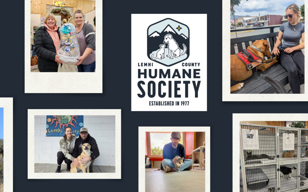 More Than a Shelter: 50 Years of Community Impact