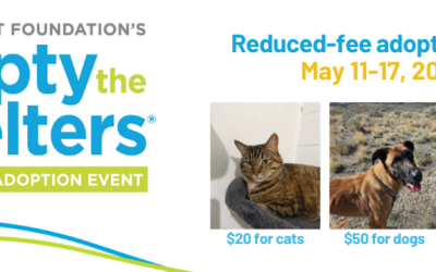 Find Your New Best Friend During Empty the Shelters