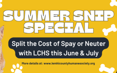 Summer Snip Special: Split the Cost of Spay & Neuter with LCHS This June & July