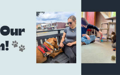 Looking for an Exciting New Job? We’re Hiring Kennel Technicians