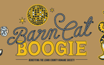 Kick Up Your Boots for a Good Cause at Barn Cat Boogie!